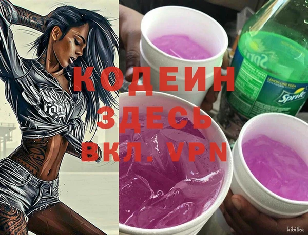 дживик Белокуриха