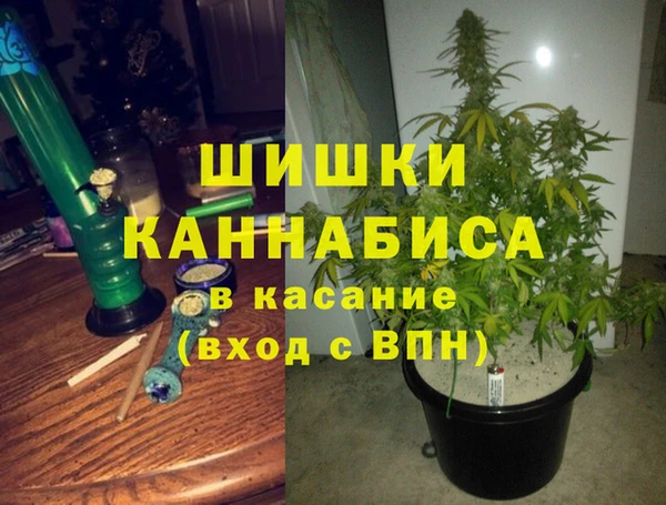 дживик Белокуриха