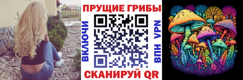 Галлюциногенные грибы прущие грибы  гидра ТОР  Олёкминск  продажа наркотиков 
